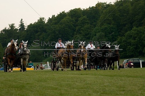 (c)SimoneHomberg_Ponyfest_Schauprogramm_20150606_0755