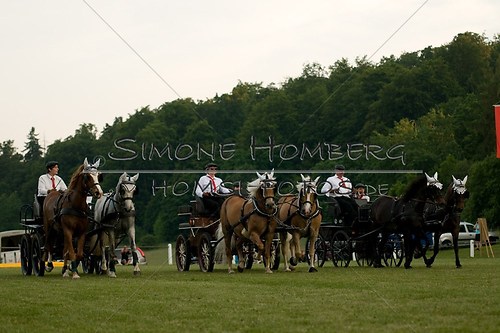 (c)SimoneHomberg_Ponyfest_Schauprogramm_20150606_0756