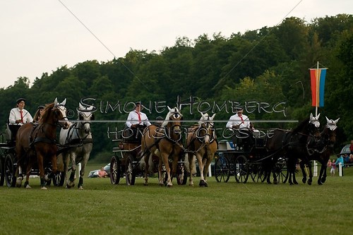 (c)SimoneHomberg_Ponyfest_Schauprogramm_20150606_0757