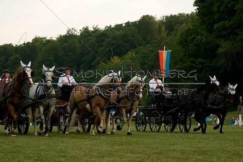 (c)SimoneHomberg_Ponyfest_Schauprogramm_20150606_0758