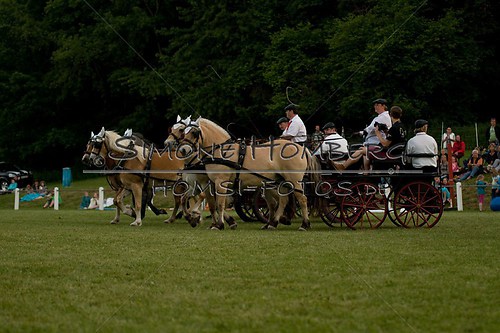 (c)SimoneHomberg_Ponyfest_Schauprogramm_20150606_0759