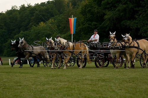 (c)SimoneHomberg_Ponyfest_Schauprogramm_20150606_0760