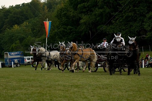 (c)SimoneHomberg_Ponyfest_Schauprogramm_20150606_0761