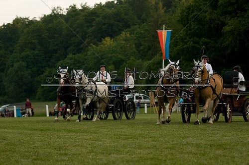 (c)SimoneHomberg_Ponyfest_Schauprogramm_20150606_0762