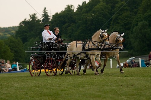 (c)SimoneHomberg_Ponyfest_Schauprogramm_20150606_0763