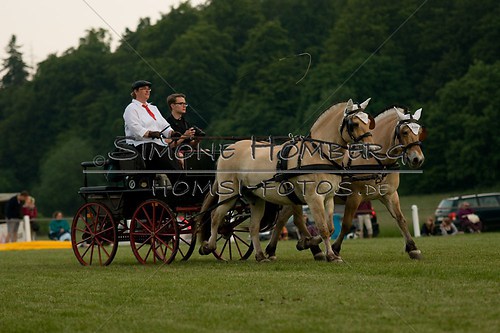 (c)SimoneHomberg_Ponyfest_Schauprogramm_20150606_0764