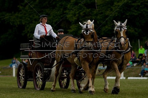 (c)SimoneHomberg_Ponyfest_Schauprogramm_20150606_0765
