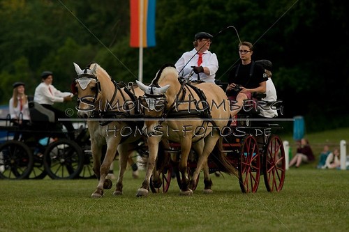 (c)SimoneHomberg_Ponyfest_Schauprogramm_20150606_0766