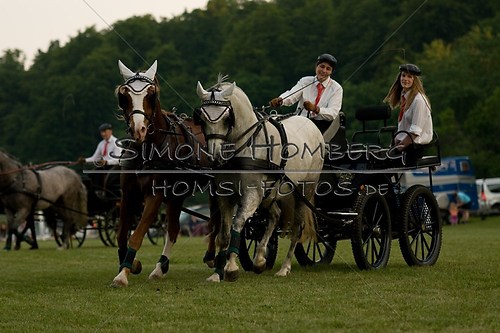 (c)SimoneHomberg_Ponyfest_Schauprogramm_20150606_0767
