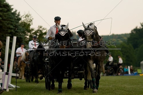 (c)SimoneHomberg_Ponyfest_Schauprogramm_20150606_0768