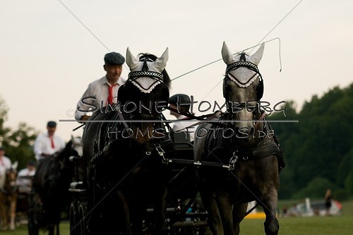 (c)SimoneHomberg_Ponyfest_Schauprogramm_20150606_0769