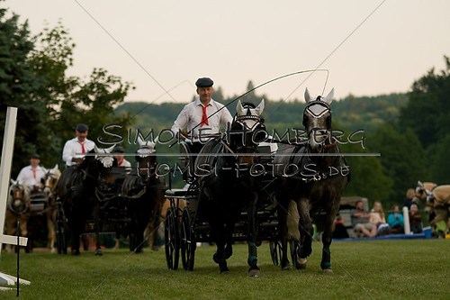 (c)SimoneHomberg_Ponyfest_Schauprogramm_20150606_0770