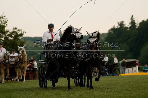 (c)SimoneHomberg_Ponyfest_Schauprogramm_20150606_0771