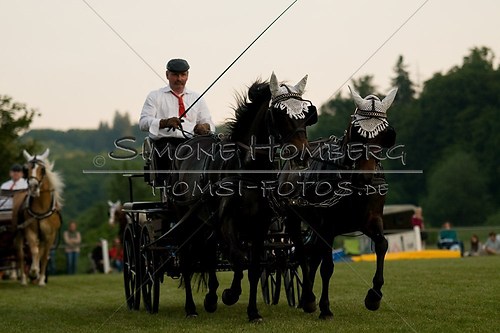 (c)SimoneHomberg_Ponyfest_Schauprogramm_20150606_0772