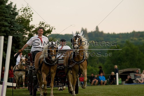(c)SimoneHomberg_Ponyfest_Schauprogramm_20150606_0773