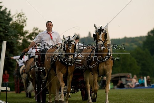 (c)SimoneHomberg_Ponyfest_Schauprogramm_20150606_0774