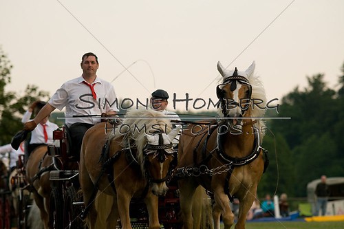 (c)SimoneHomberg_Ponyfest_Schauprogramm_20150606_0775