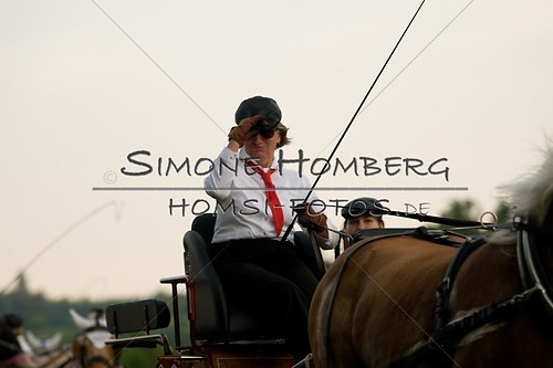 (c)SimoneHomberg_Ponyfest_Schauprogramm_20150606_0776