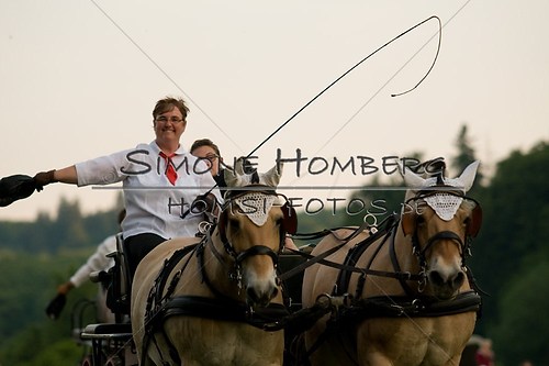 (c)SimoneHomberg_Ponyfest_Schauprogramm_20150606_0777