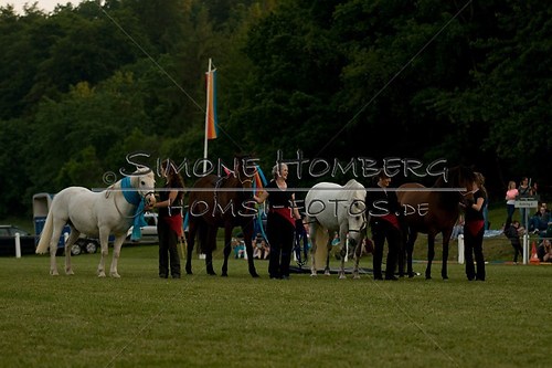 (c)SimoneHomberg_Ponyfest_Schauprogramm_20150606_0778