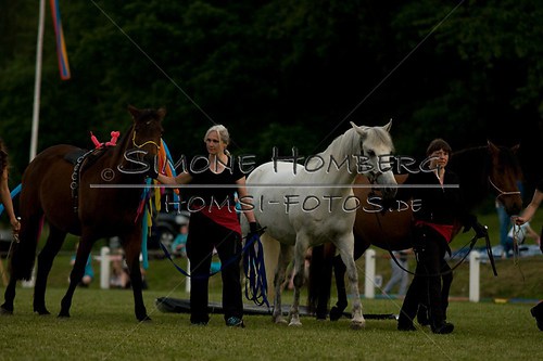 (c)SimoneHomberg_Ponyfest_Schauprogramm_20150606_0781