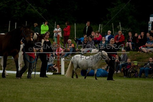(c)SimoneHomberg_Ponyfest_Schauprogramm_20150606_0784