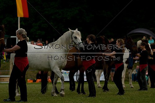 (c)SimoneHomberg_Ponyfest_Schauprogramm_20150606_0785