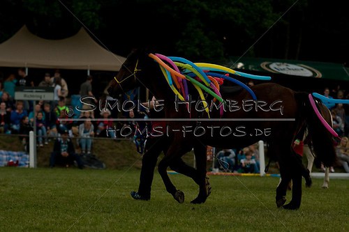 (c)SimoneHomberg_Ponyfest_Schauprogramm_20150606_0790