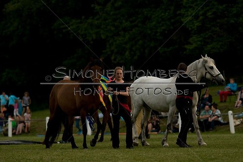 (c)SimoneHomberg_Ponyfest_Schauprogramm_20150606_0791
