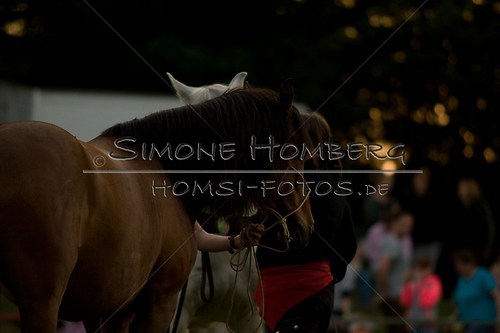 (c)SimoneHomberg_Ponyfest_Schauprogramm_20150606_0794