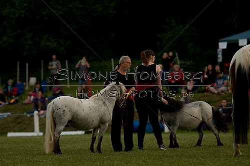 (c)SimoneHomberg_Ponyfest_Schauprogramm_20150606_0795