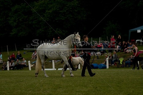 (c)SimoneHomberg_Ponyfest_Schauprogramm_20150606_0800