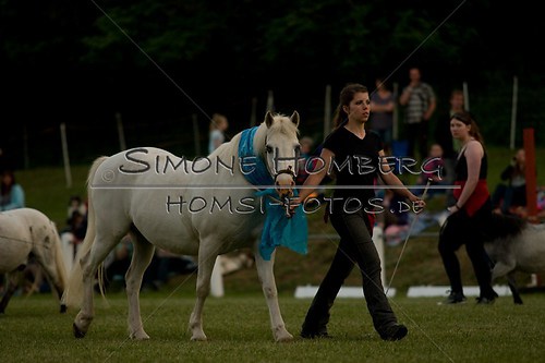 (c)SimoneHomberg_Ponyfest_Schauprogramm_20150606_0801