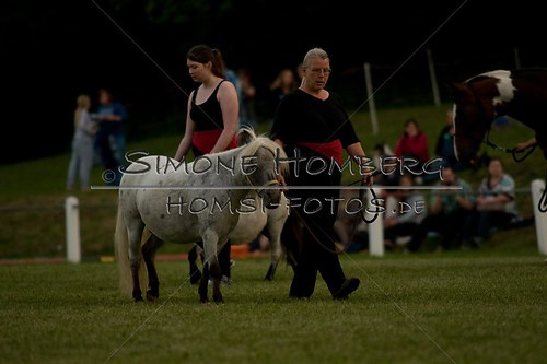 (c)SimoneHomberg_Ponyfest_Schauprogramm_20150606_0802