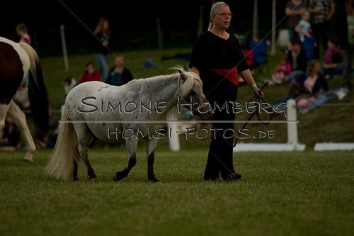 (c)SimoneHomberg_Ponyfest_Schauprogramm_20150606_0803