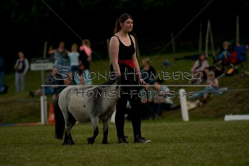 (c)SimoneHomberg_Ponyfest_Schauprogramm_20150606_0804