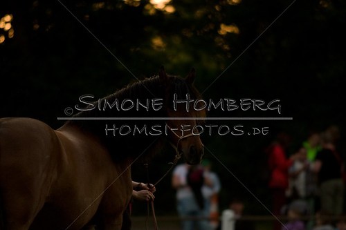 (c)SimoneHomberg_Ponyfest_Schauprogramm_20150606_0805