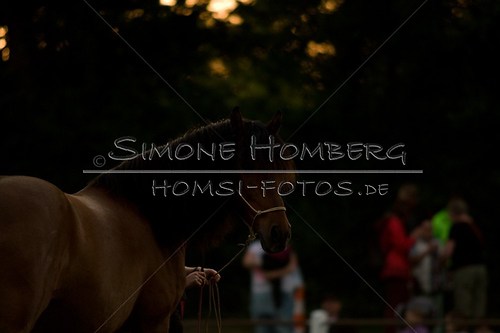 (c)SimoneHomberg_Ponyfest_Schauprogramm_20150606_0806