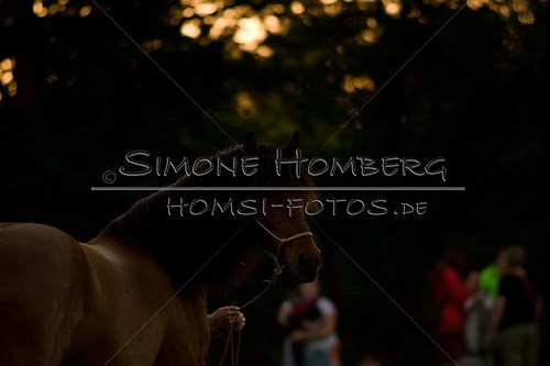 (c)SimoneHomberg_Ponyfest_Schauprogramm_20150606_0808