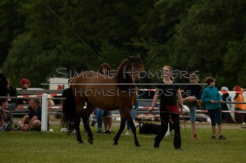 (c)SimoneHomberg_Ponyfest_Schauprogramm_20150606_0809