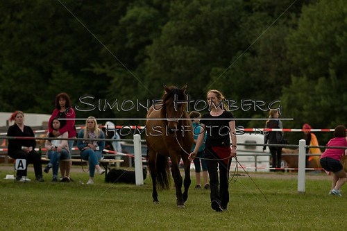 (c)SimoneHomberg_Ponyfest_Schauprogramm_20150606_0810