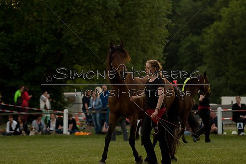 (c)SimoneHomberg_Ponyfest_Schauprogramm_20150606_0811