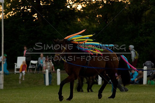 (c)SimoneHomberg_Ponyfest_Schauprogramm_20150606_0814