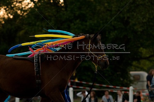 (c)SimoneHomberg_Ponyfest_Schauprogramm_20150606_0815