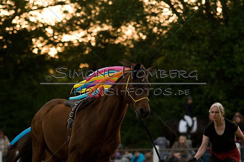 (c)SimoneHomberg_Ponyfest_Schauprogramm_20150606_0816