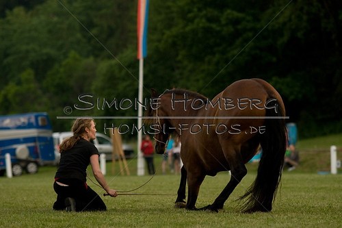 (c)SimoneHomberg_Ponyfest_Schauprogramm_20150606_0818