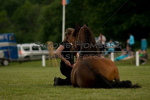 (c)SimoneHomberg_Ponyfest_Schauprogramm_20150606_0819
