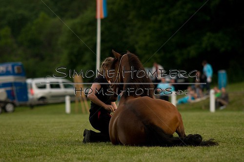 (c)SimoneHomberg_Ponyfest_Schauprogramm_20150606_0820