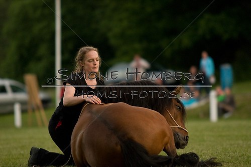 (c)SimoneHomberg_Ponyfest_Schauprogramm_20150606_0821