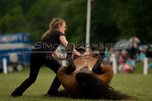 (c)SimoneHomberg_Ponyfest_Schauprogramm_20150606_0822